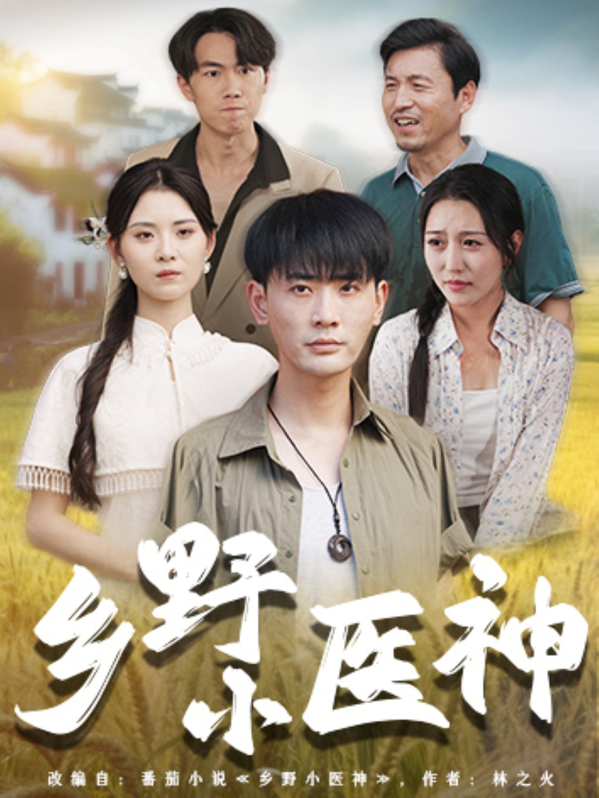 鄉(xiāng)野小醫(yī)神_在線觀看