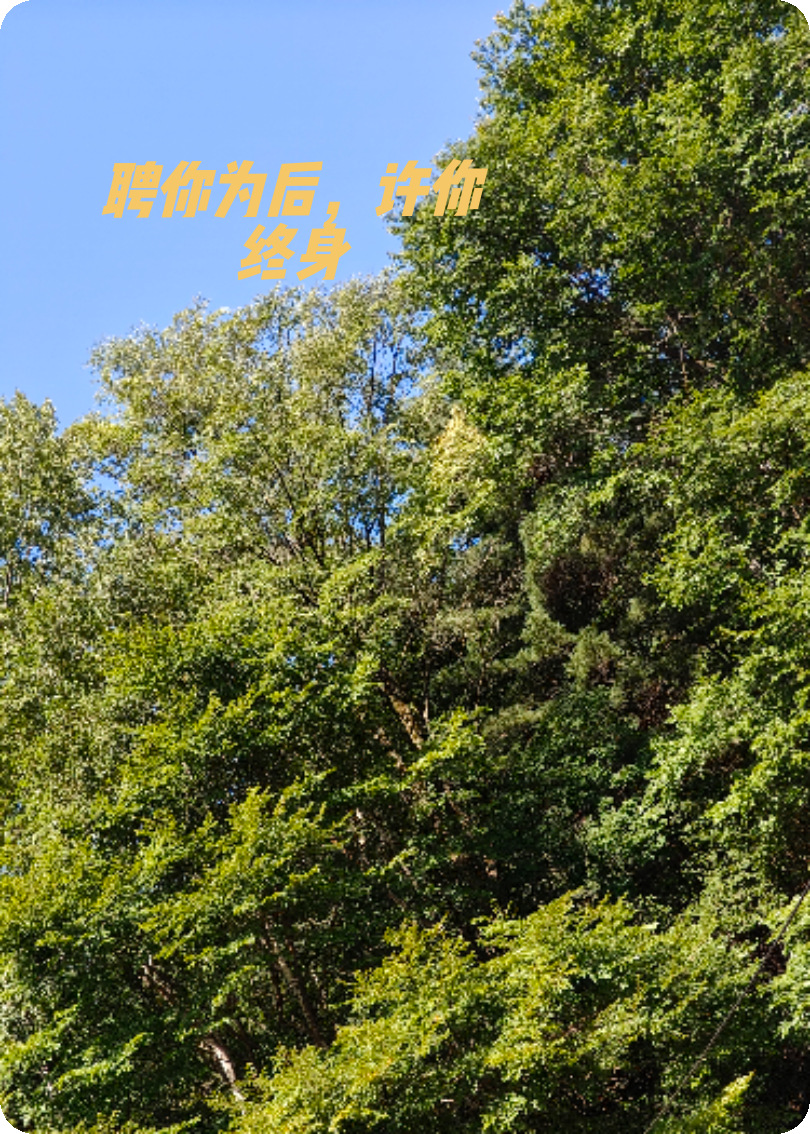 聘你为后，许你终身