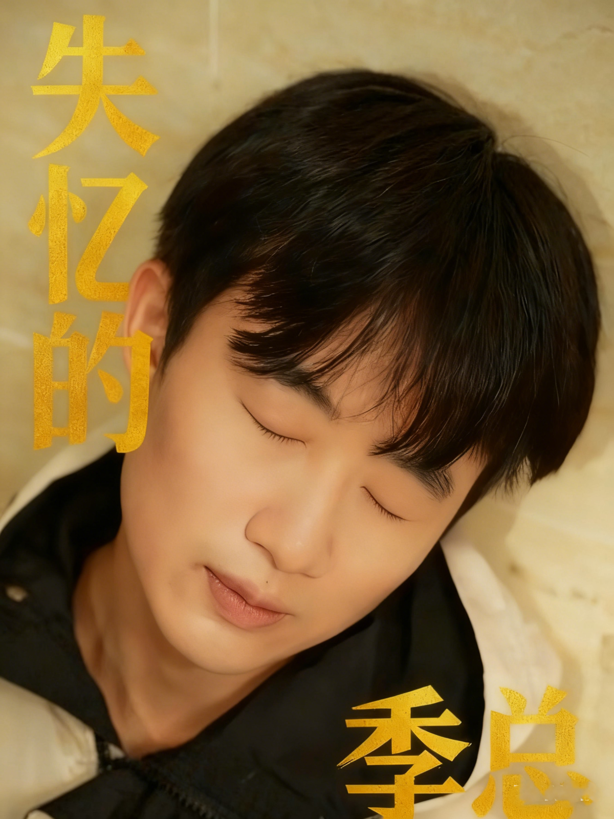 失忆的季总极致反转