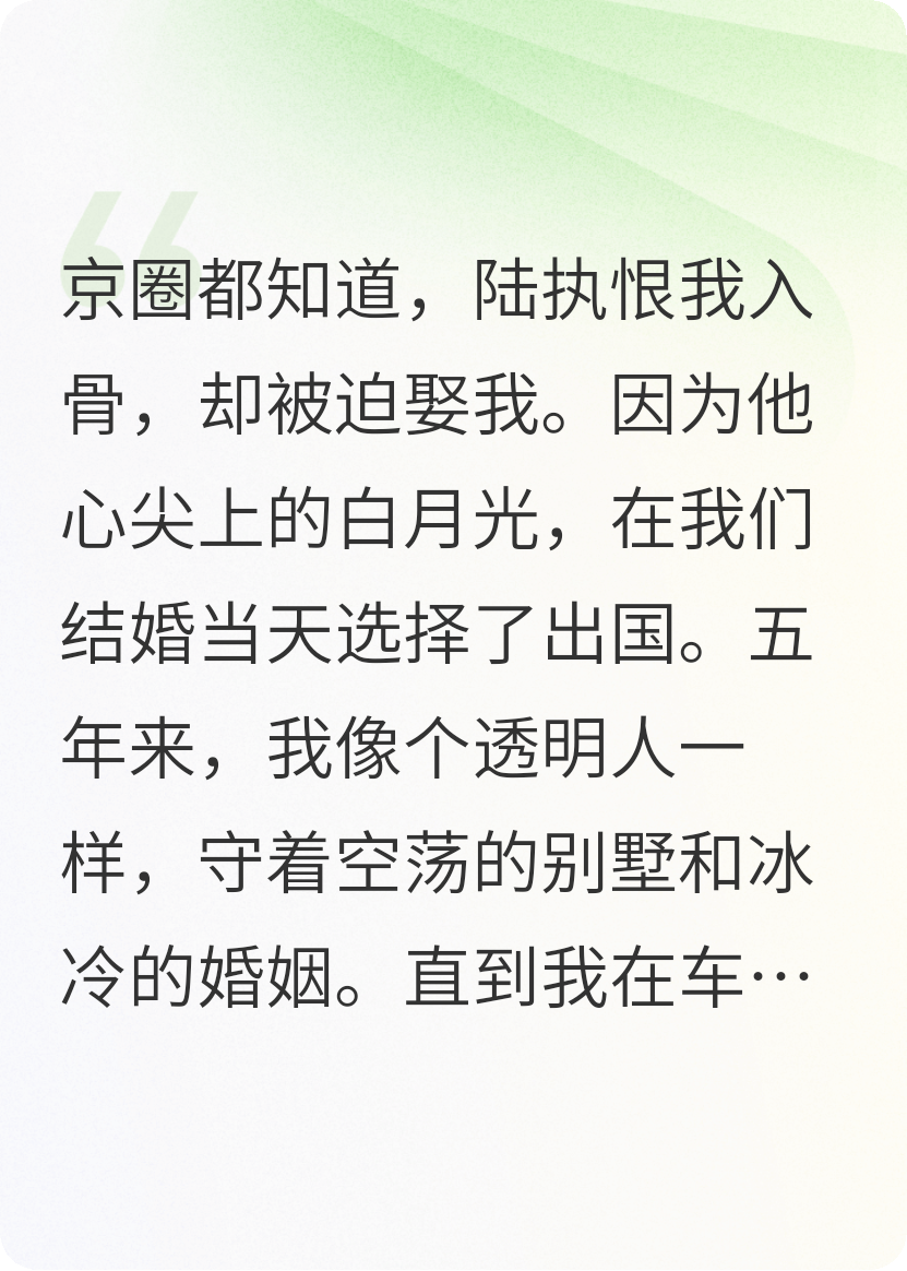 苏清陆执林晚是哪本书中的主角？