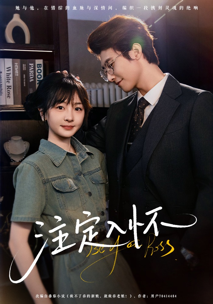 《注定入怀》震撼人心
