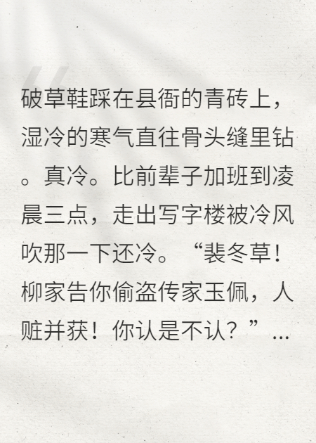 穿成被告农女，我当庭反告县太爷无删减好文