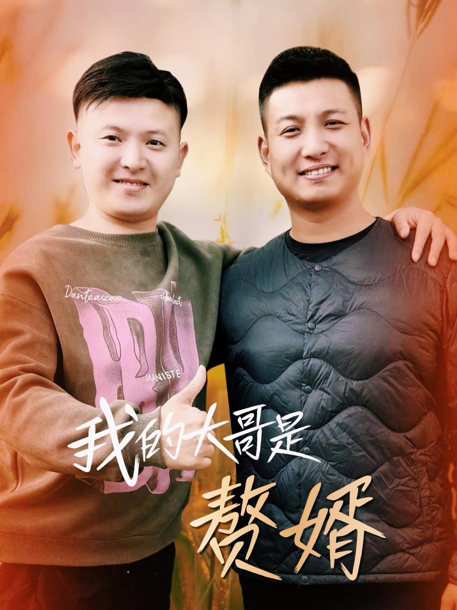 我的大哥是赘婿