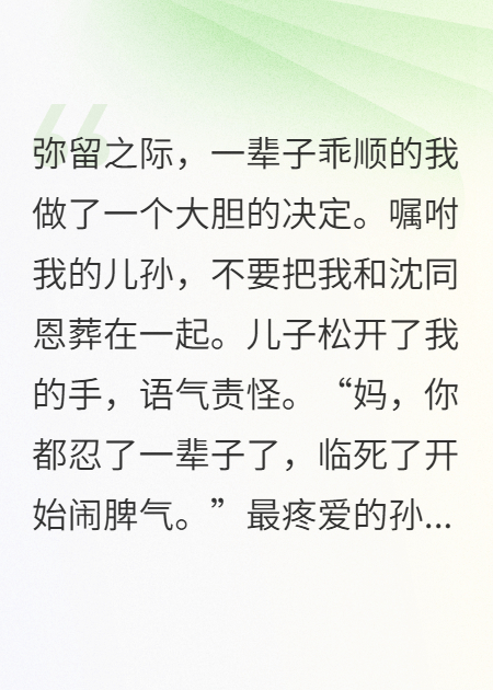 星坠于海全文免费