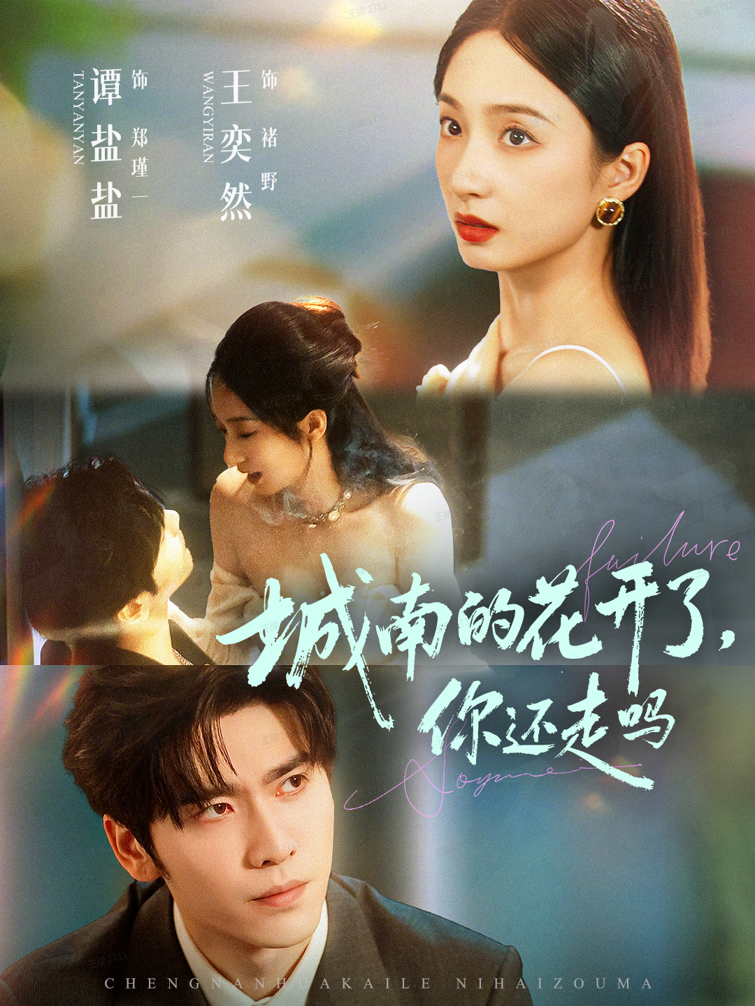  城南的花开了，你还走吗