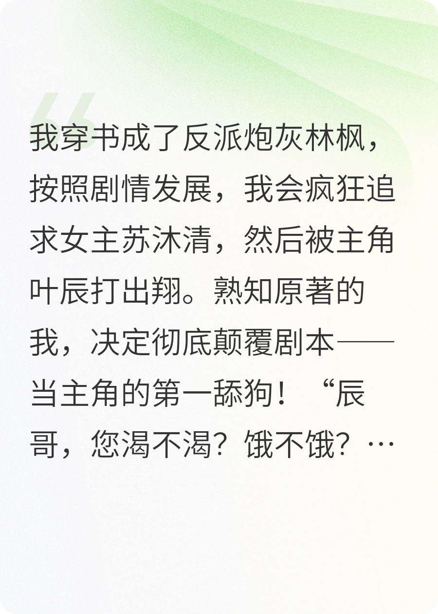 哪本书讲述了叶辰林枫的情节？