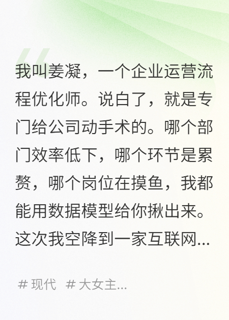 流程优化大师，兼职职场阎王完整作品