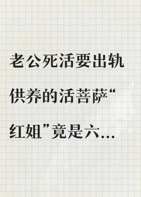 哪本书讲述了陈浩豆豆的情节？