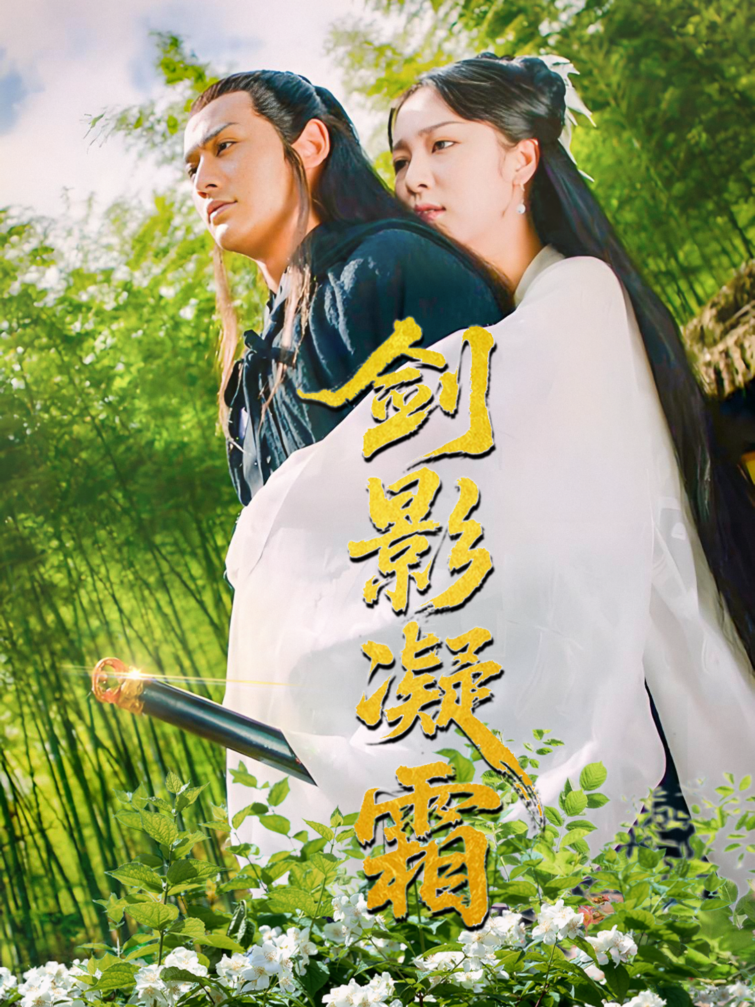 劍影凝霜_免費(fèi)觀看