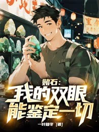 賭石：我的雙眼能鑒定一切