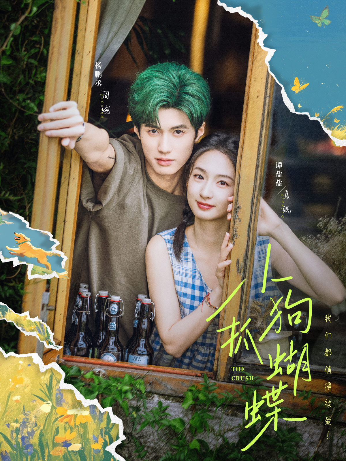 《小狗抓蝴蝶》无广全集