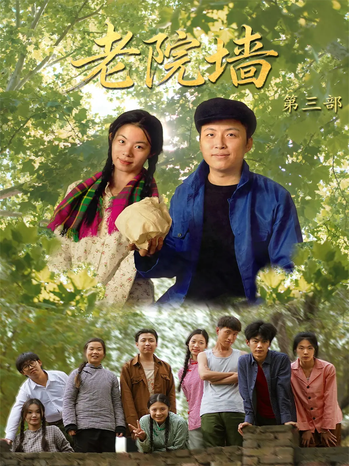 老院墙第三部高分推荐