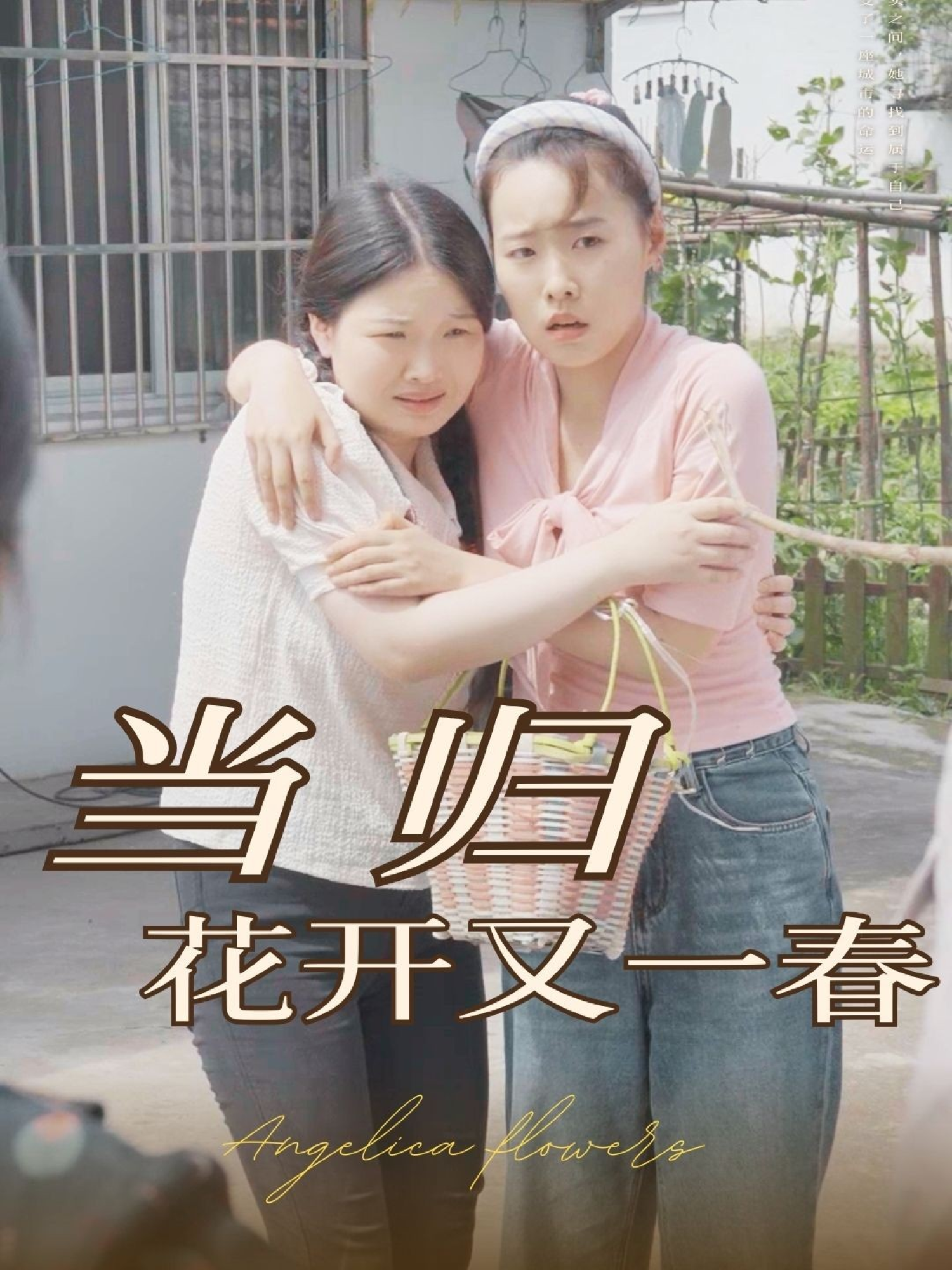 当归花开又一春