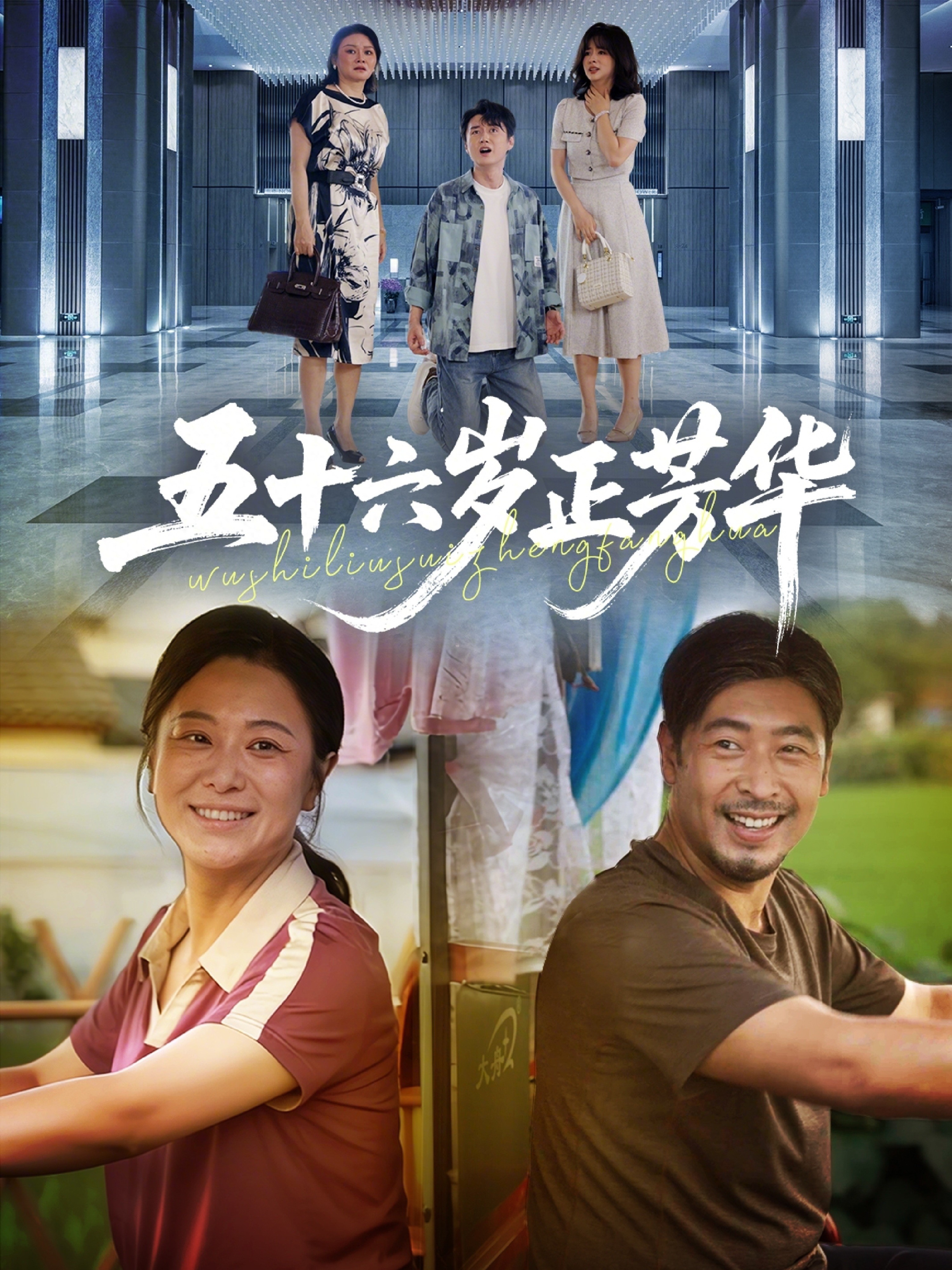 五十六岁正芳华