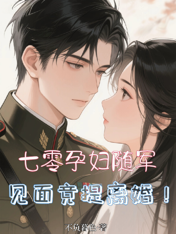 七零孕妇随军，见面竟提离婚！火爆无弹窗
