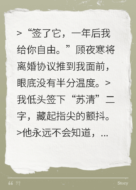 總裁的替身竟是大佬