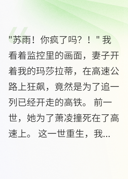 《妻子开车追高铁五百里我躺赢了》在线小说