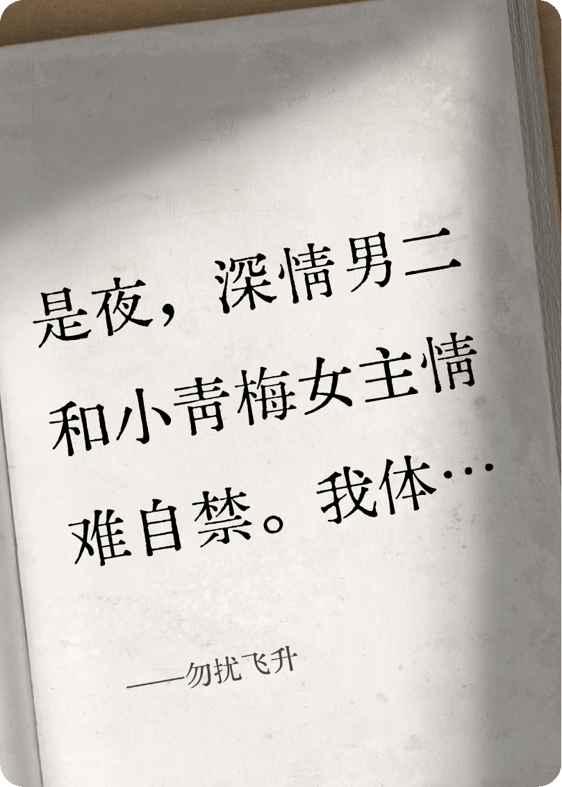 勿擾飛升