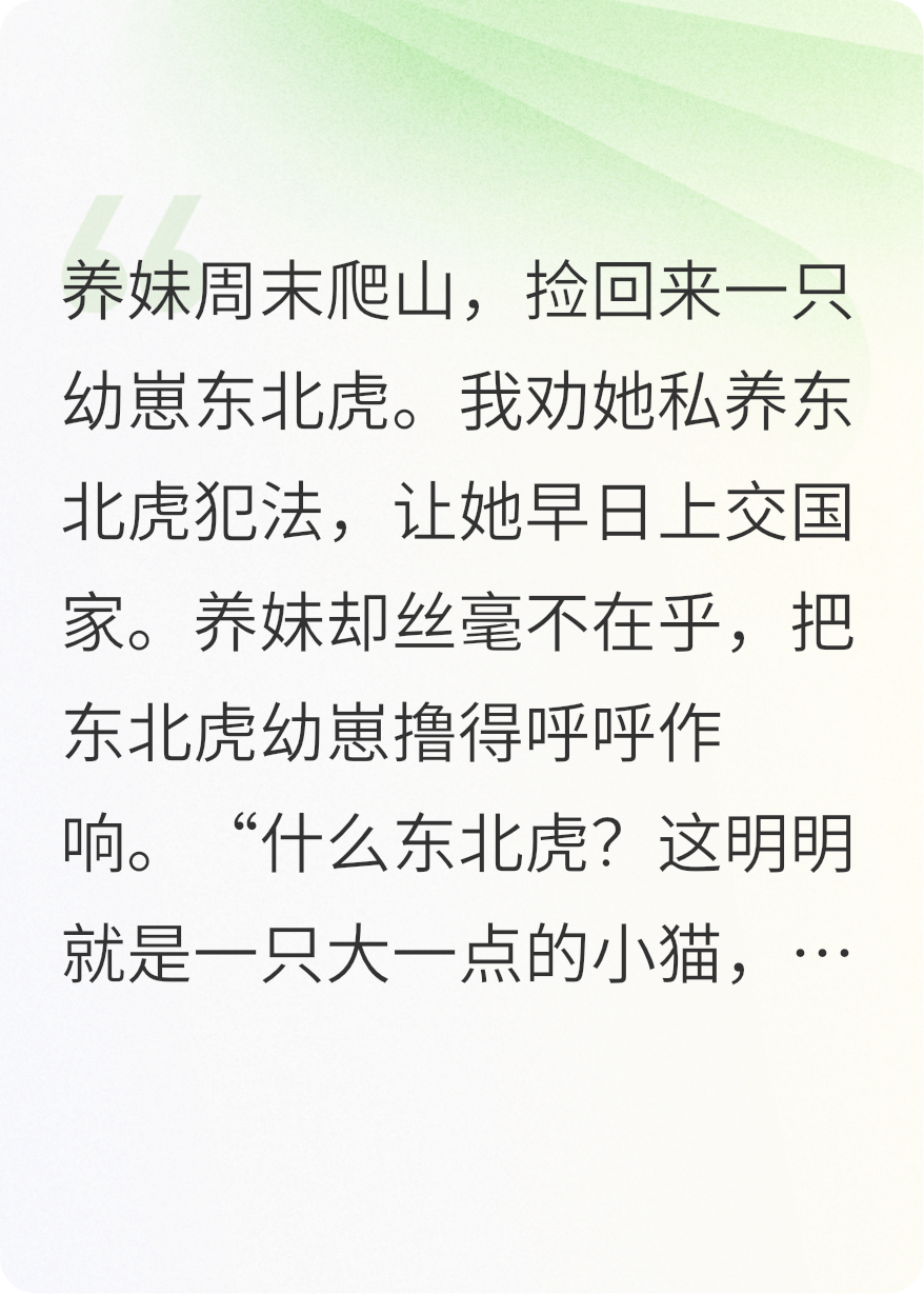 養(yǎng)妹撿到野生虎，非要在家當(dāng)貓養(yǎng)