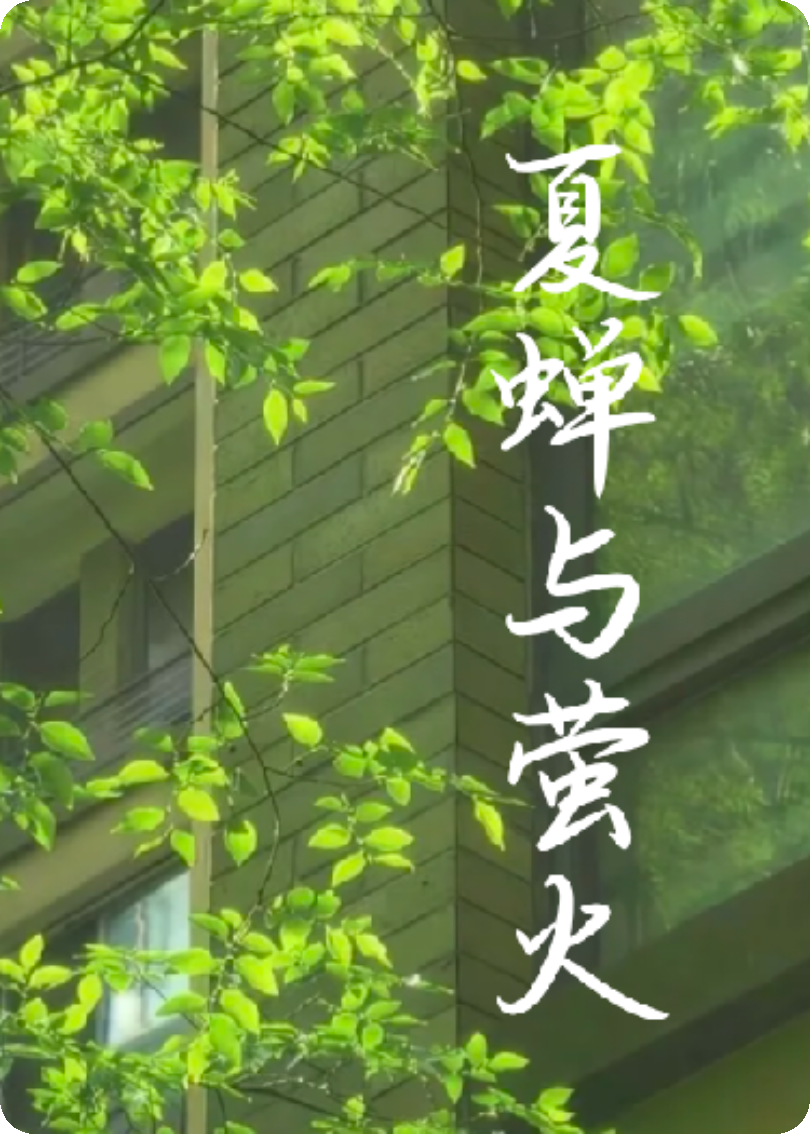 夏蝉与萤火无套路全集
