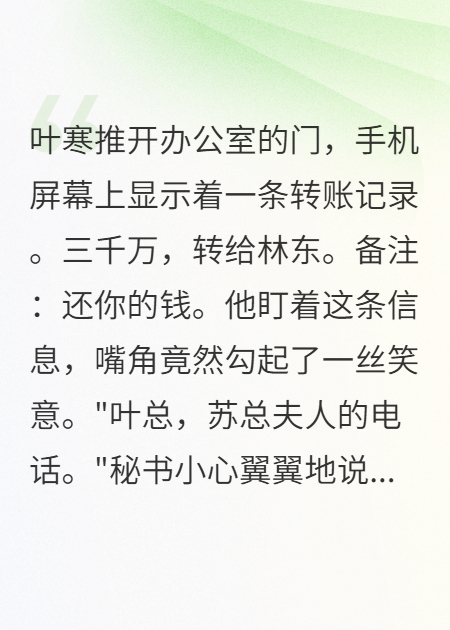 主角叫叶寒苏晴雨的小说名字是什么？