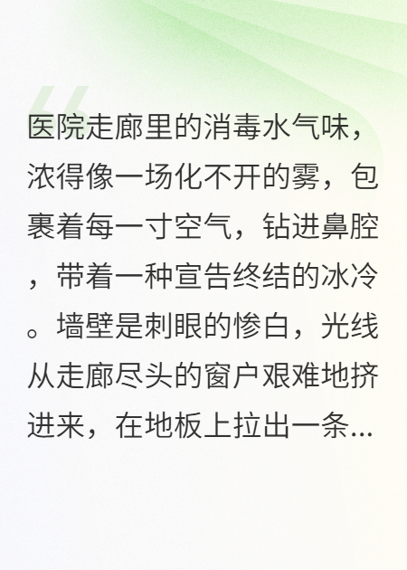 十年贅婿，我為婚姻辦了場葬禮