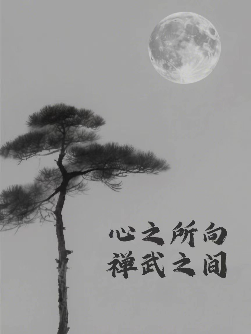 心之所向，禪武之間