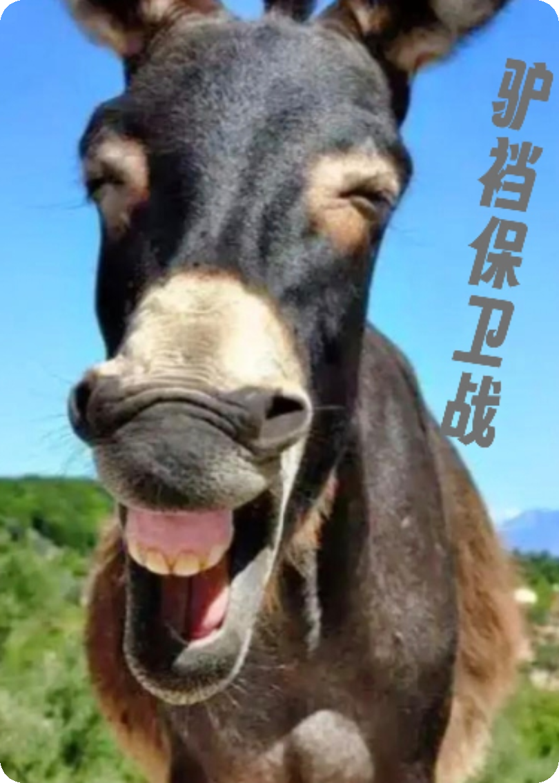 驴裆保卫战