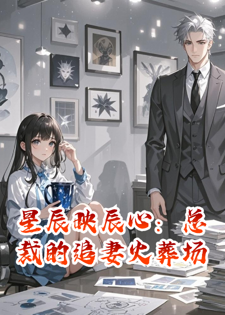 星辰映辰心：總裁的追妻火葬場