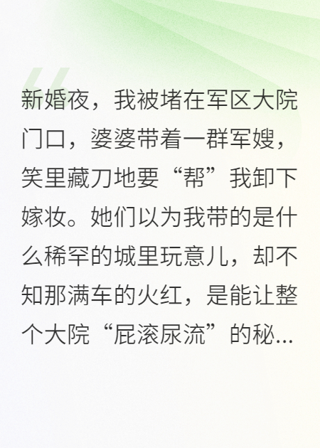 重生七零，我把全村軍嫂辣哭了