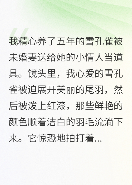 韩雪赵宇轩孔雀演绎的精彩情节