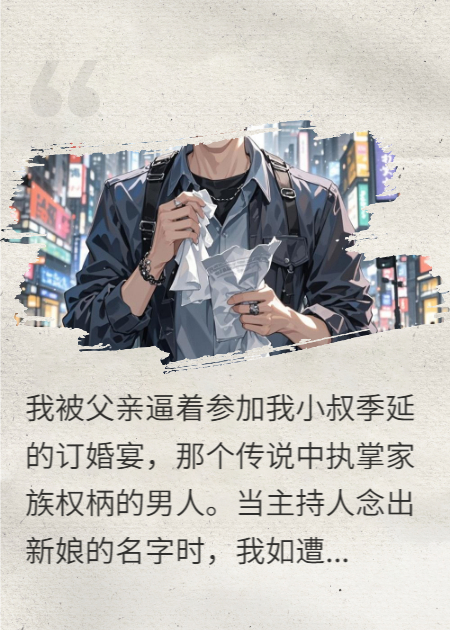 关于季延林曦的内容在哪本小说里？