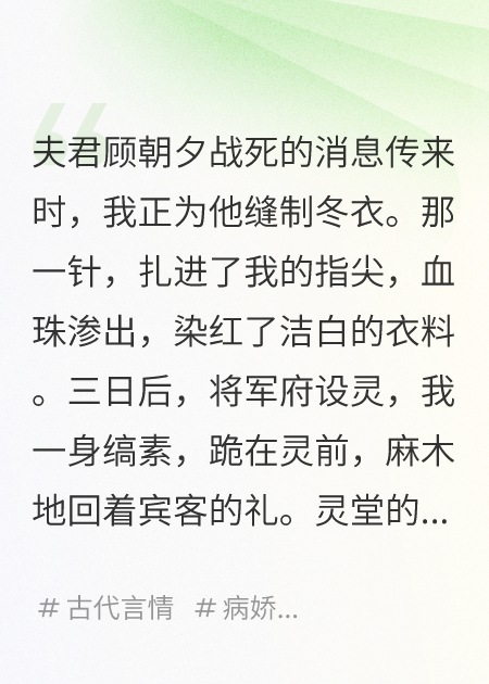 夫君戰(zhàn)死那天，孿生兄長(zhǎng)奪我入府