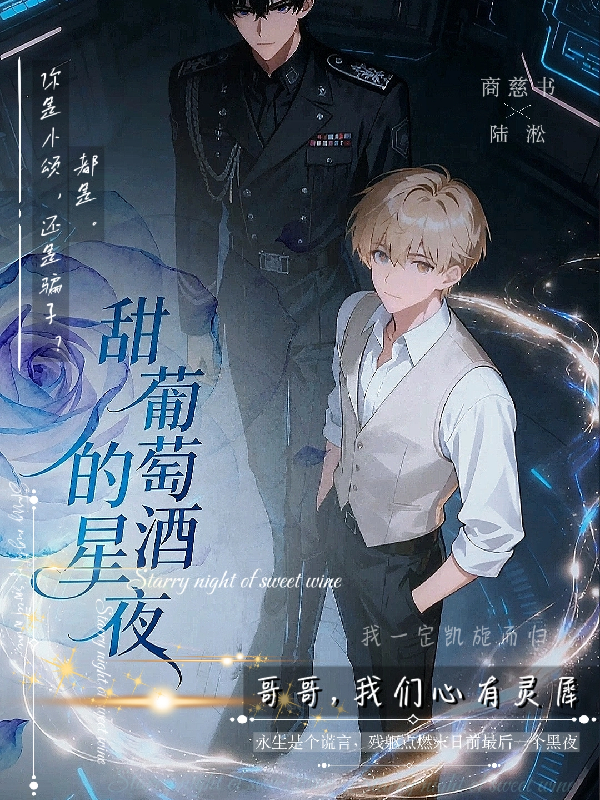 甜葡萄酒的星夜-霜叶书苑