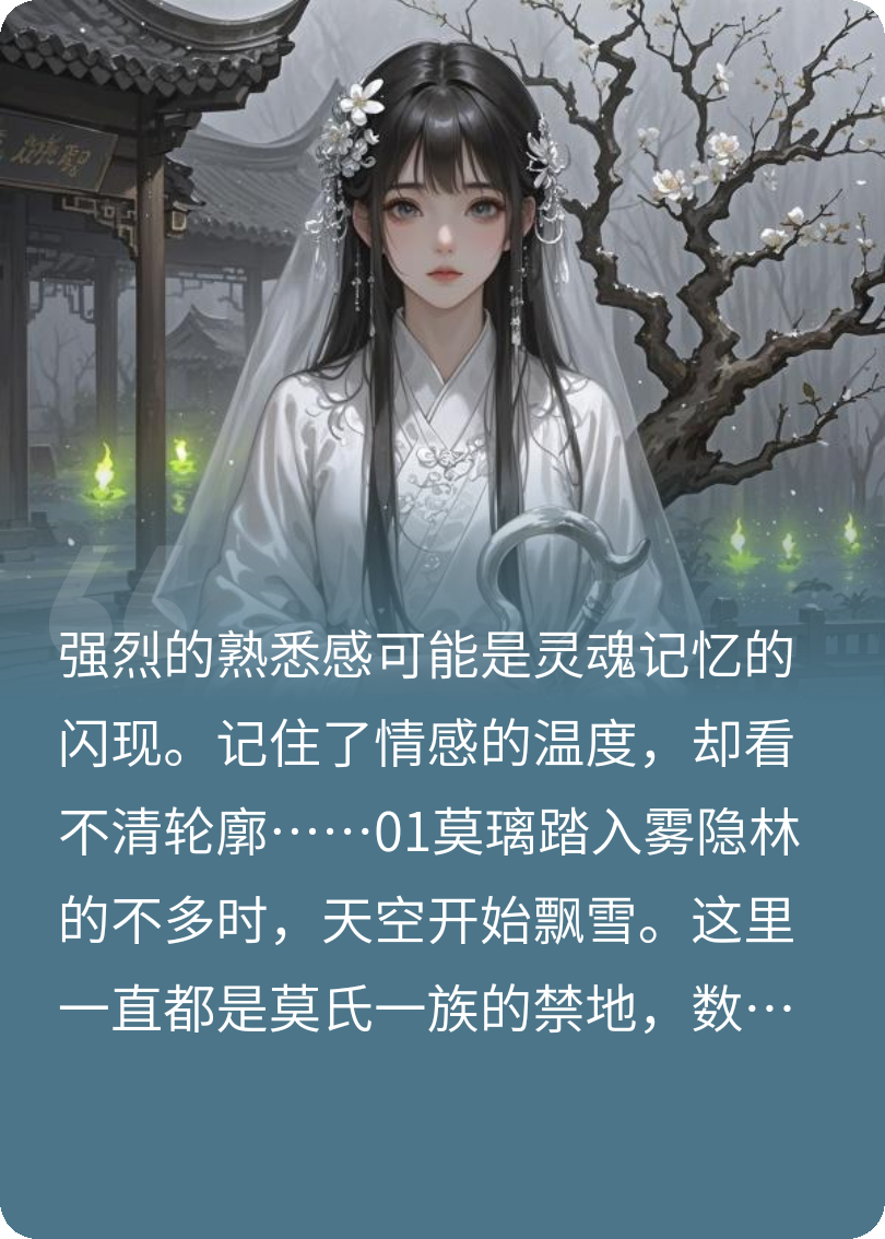 夢(mèng)引錄