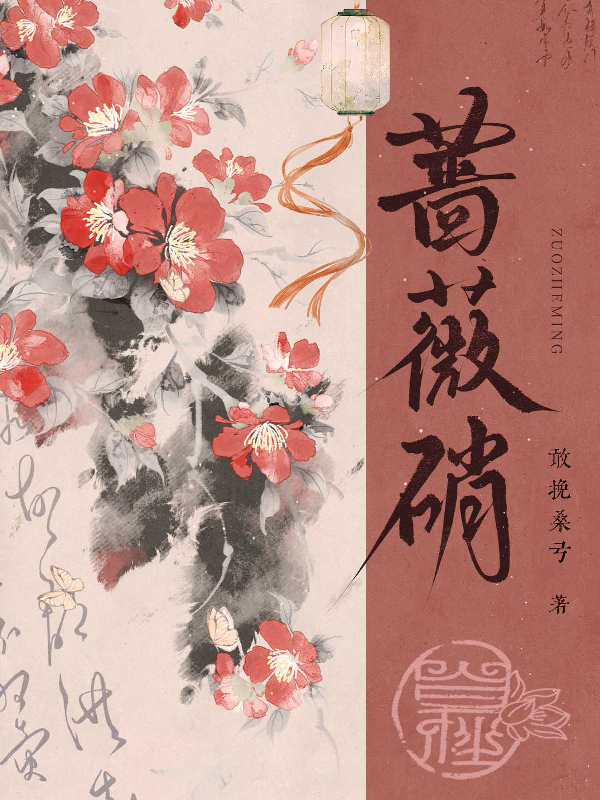 蔷薇硝无删减好文
