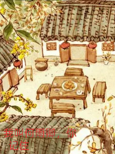 四合院，我叫何雨卿你记住