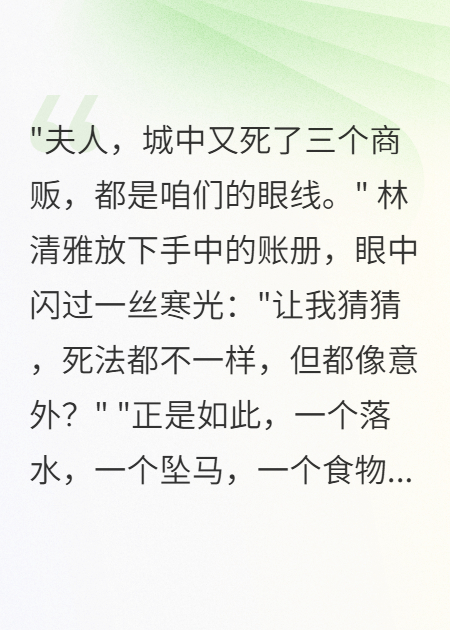 邊境夫人：智斗北胡間諜