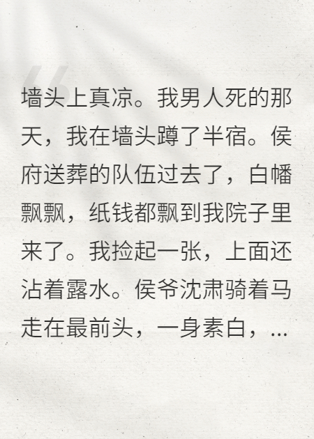 侯爺他總懷疑我在墻頭等他