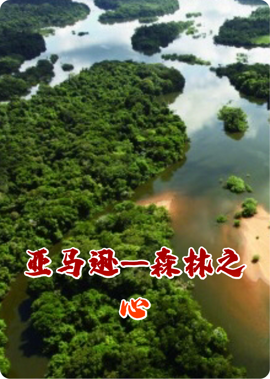 亞馬遜—森林之心