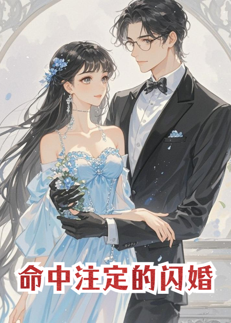 《命中注定的闪婚》无弹窗全文 