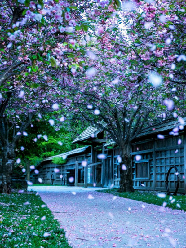 专属护理畅读精品正版