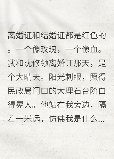 离婚后我手撕前夫精品TXT