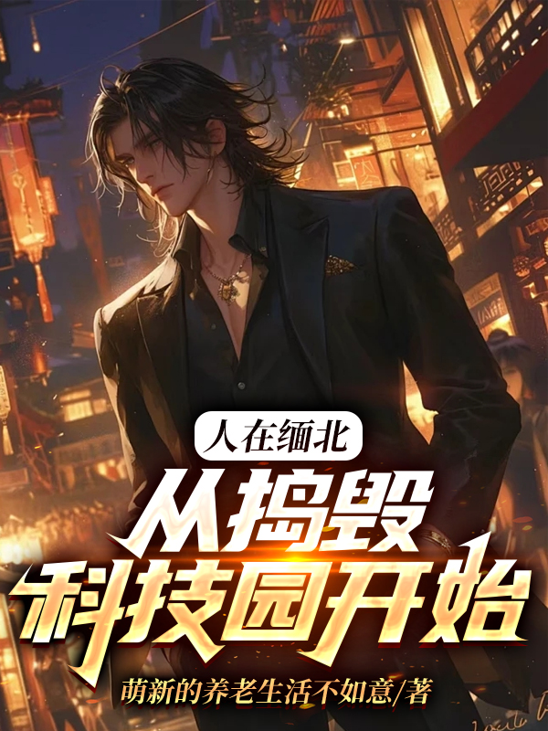 人在缅北，从捣毁科技园开始