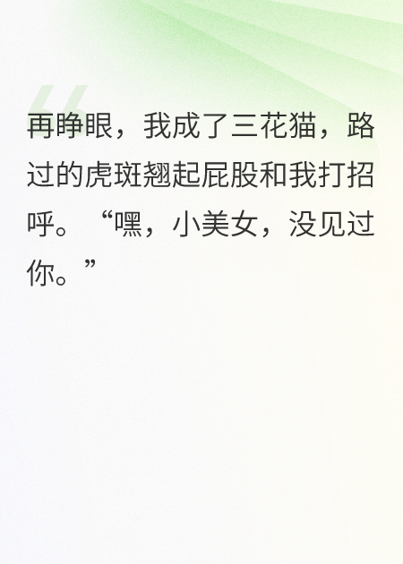 絕望貓生：我不要變成貓貓