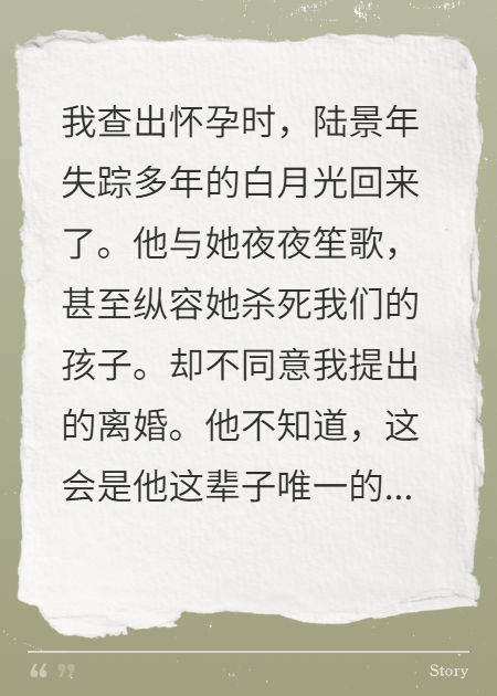 哪本小说的主角有陆景年张晓楠？