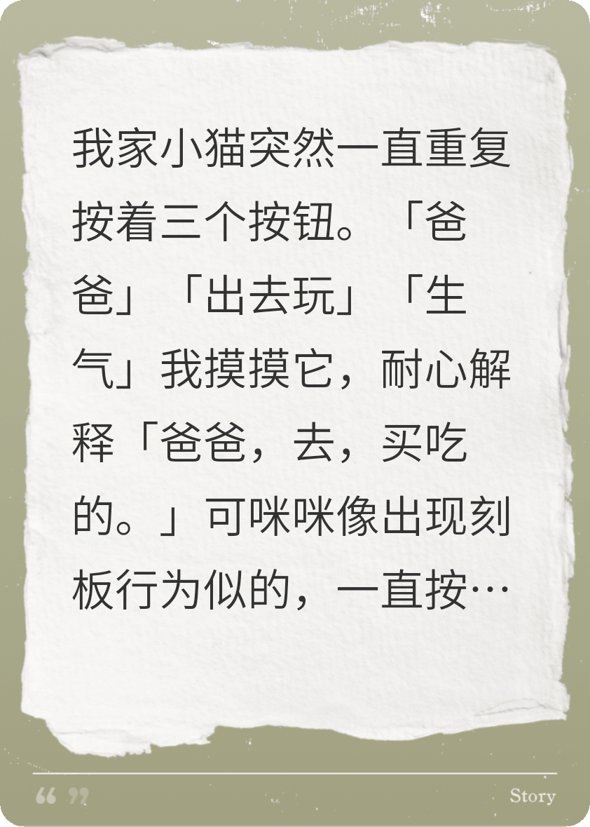 小貓告訴我丈夫的第二次心動(dòng)