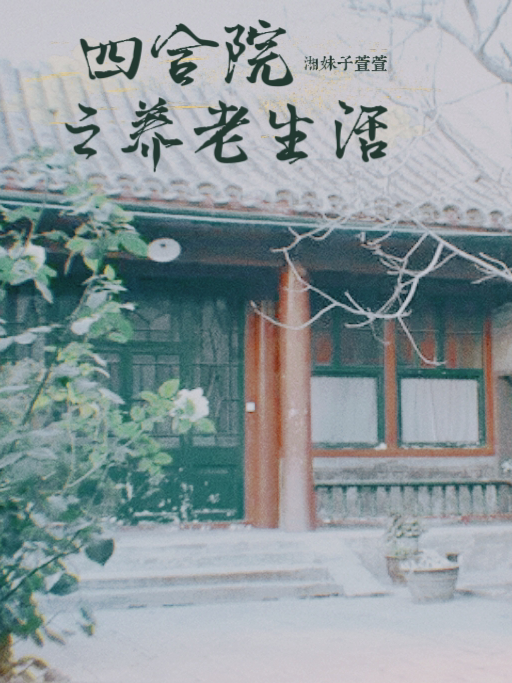 四合院之養(yǎng)老生活