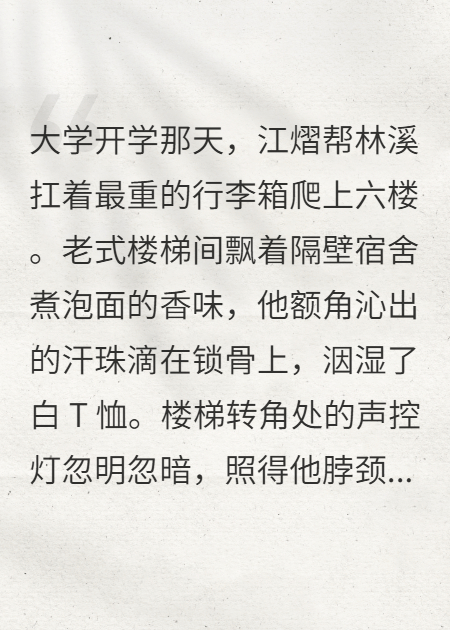 圖書館的暖陽：平淡的日常