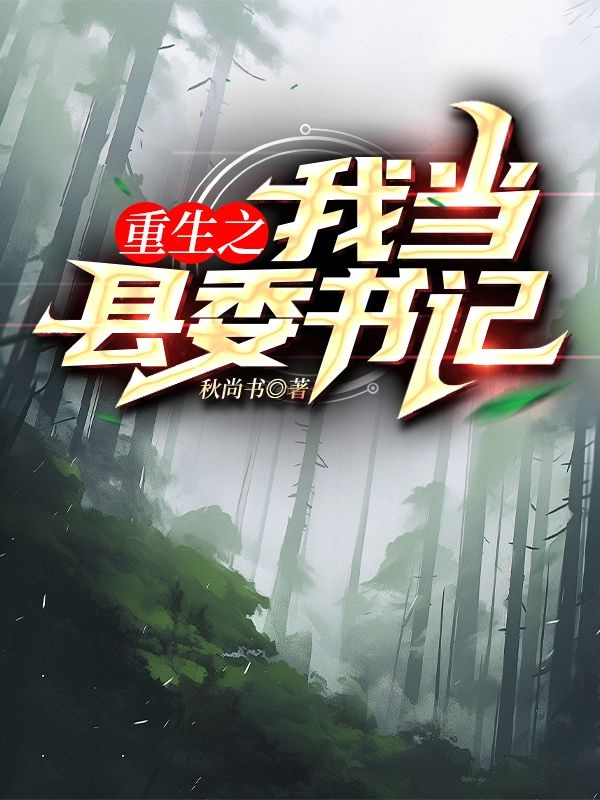 重生之我当县委书记